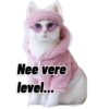 Lollycat 8