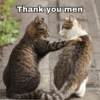 Cute Cats 🐱 8