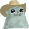 Gato vaquero triste