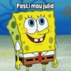 S for Spongebob 13
