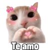 Te amo