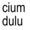 ANOMALI SINGKAT.2 9