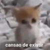 7 cansao de existir