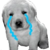 Memes Sad 19