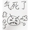 气死了 的 20
