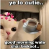 Cute cats Hindi 6