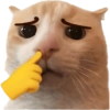 Kitties 5
