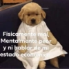 Animalitos Random🪴🐾 12