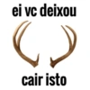 ei vc deixou () cair isto