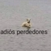 adiós perdedores