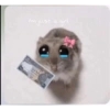 Hamster triste 13