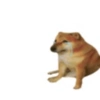 Sukkuu 23