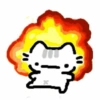 Gatitos. | @ocenferios  Haki. 8