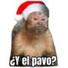 Memes Navideños V1 11