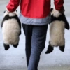 Pandas or yanans? 7