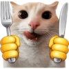 Kitties 8