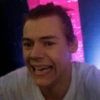 Harry styles memes 27
