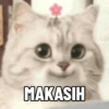 Meme Kucing #3 7