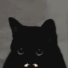 Gatitos 19