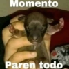 MEMES XD 16