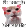 Se me moja la cucarasha