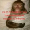 Animalitos Random🪴🐾 27