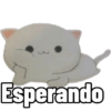 Gatitos cute💖 27