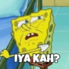 IYA KAH?