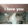 i love you
