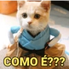 COMO É???