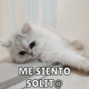 Michis Para ti pt.4🐱❤️ 11