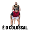 2026 16