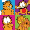 Reações  13