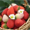 －  〭  ౨ৎ Fresas 8