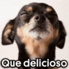 JOJO Que delicioso