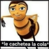 *le cachetea la cola*