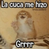 La cuca me hizo @rose.stickers1 Grrrr