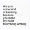 Are you
some kind
of kambing
becauseker.ly
you make
my heart
terombang-ambing