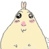 🐭🐀 Hamster Stickers 1 🐭🐀 17