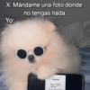 X: Mándame una foto donde no tengas nada. Yo: Cuenta $036