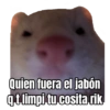 Quien fuera el jabón q t limpi tu cosita rik