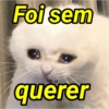 Foi sem querer