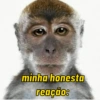 minha honesta reação: