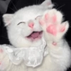 Gatos fofinhos 😍 8