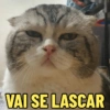 VAI SE LASCAR