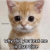 @uoanx
why did you text me
in that tone