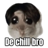 De chill bro