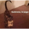 WTF xd 29