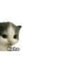 hehe