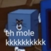 Memes 29